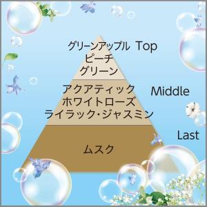 LH80 エステー ムシューダ 1年間有効 ク...の詳細画像3