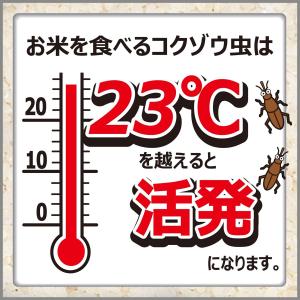 目玉特価 LK51 エステー 米唐番(こめとう...の詳細画像2