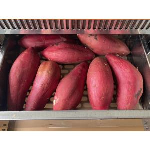 【遠赤外線焼き芋機 TJO-100L】2年保証...の詳細画像5