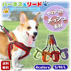 犬 ハーネスリード ハーネス リード付 H型 反射材 犬用 小型犬 胴輪 首輪 セット