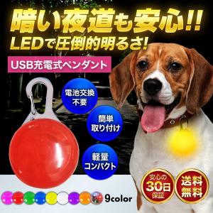 首輪 光る 光る首輪 充電式 LED ペンダント ライト ランニング ウォーキング 散歩 犬 USB｜leafage