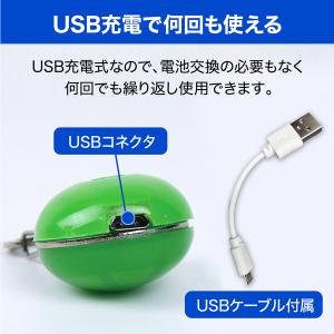 首輪 光る 光る首輪 充電式 LED ペンダン...の詳細画像2