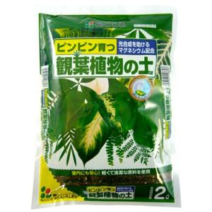 花ごころ 観葉植物の土 2L 葉色がよくなる 室内 インドア