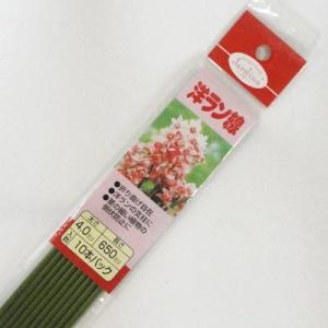 渡辺泰 洋ラン線10P 4.0×650mm