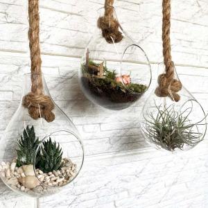 Paseo EX-36-14 ハンギングガラス おしゃれ テラリウム エアプランツ 多肉植物 吊るす インテリア かわいい