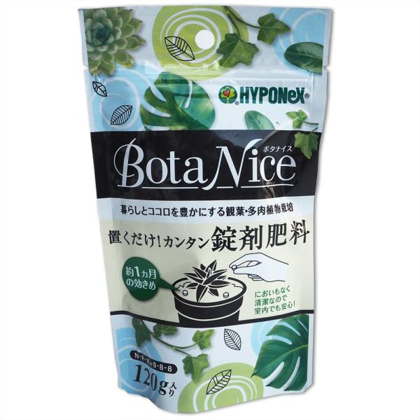 観葉植物 多肉植物 サボテン 肥料　ハイポネックス BotaNice 置くだけカンタン錠剤肥料 12...