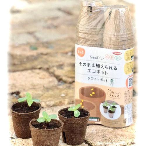 サカタのタネ Seedfun そのまま植えられるエコポット ジフィーポット 5.5cm 40個 花育...