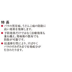 ハイポネックス ブリリアントガーデン サルバト...の詳細画像1