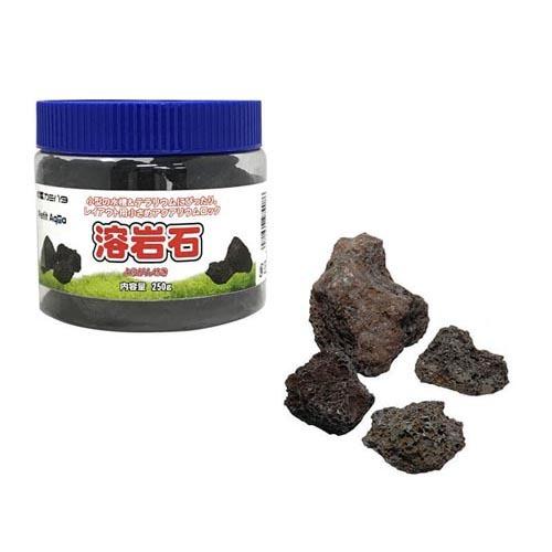 岩組み 小型水槽 テラリウム ボトルアクアリウム 天然石 プチアクアの石 溶岩石 250g カミハタ