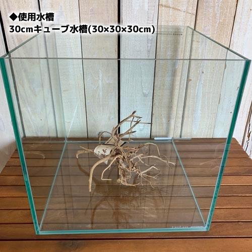 カミハタ 枝流木S ベトナム産 形状おまかせ レイアウト素材 約12.0?18.0cm ナチュラル ...