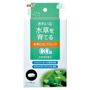 ボトルアクアリウムの商品一覧 通販 Yahoo ショッピング