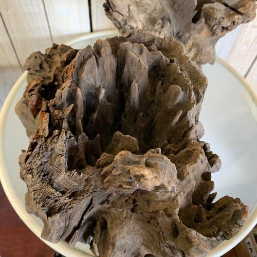 カミハタ ツリーボトムウッドXL 天然流木 タイ産 切り株 朽ち木 森レイアウト 隠れ家 アピスト