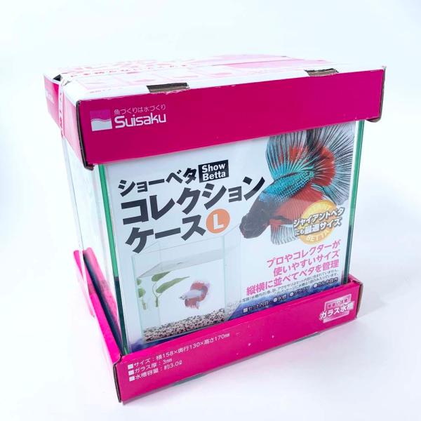 水作 ショーベタコレクションケースL フタ付き ガラス水槽 育成 コレクション ベタマンション