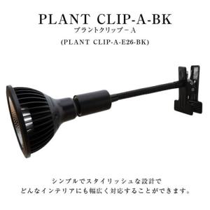 BARREL(バレル) 専用ソケット プラント...の詳細画像1