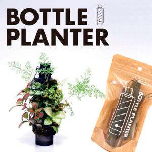 吊るす 植物の商品一覧 通販 Yahoo ショッピング