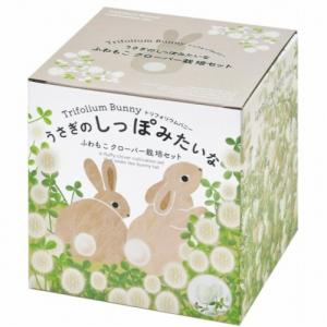 うさぎのしっぽみたいなクローバー栽培セット栽培キット　プレゼント　インテリア　うさぎ　プレゼント