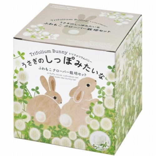 うさぎのしっぽみたいなクローバー栽培セット栽培キット プレゼント インテリア うさぎ プレゼント