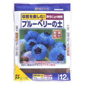 花ごころ ブルーベリーの土 12L プロ仕様 酸性土壌 【4個まで購入可】