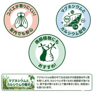 用土 花ごころ 三つ星室内観葉植物の土 10L...の詳細画像1