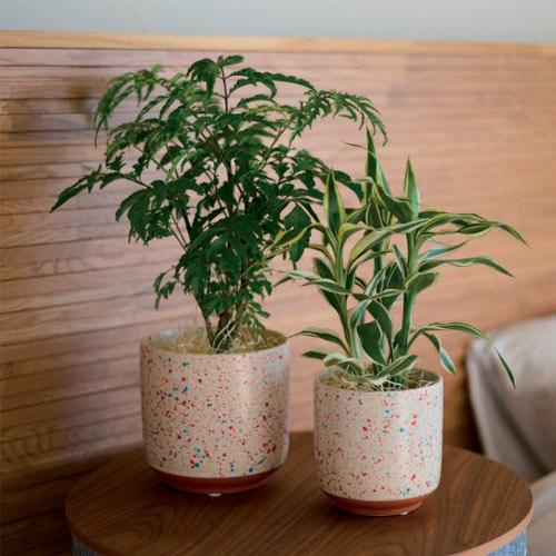 鉢　ラウハ 13 41002　ポット 鉢カバー ポットカバー 観葉植物