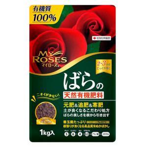 爆買WEEK☆全品5%引クーポン利用】コンポスト屋外 大型 家庭用 大容量