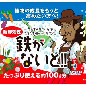 活力液 soware 500ml カーメン君コラボ