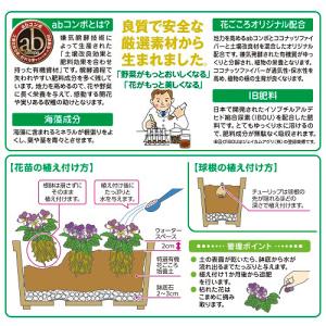 培養土 有機花ごころ培養土 10L 花ごころ ...の詳細画像1