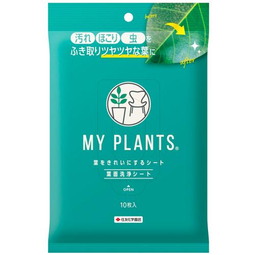 観葉植物　住友化学園芸 MY PLANTS(マイプランツ) 葉をきれいにするシート(台紙) 10枚　...