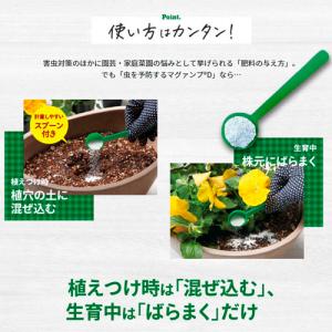 ハイポネックス マグァンプD 500g 殺虫剤...の詳細画像3