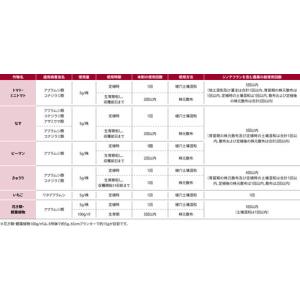 ハイポネックス マグァンプD 500g 殺虫剤...の詳細画像5