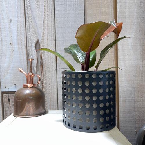 ポットカバー　鉢カバー　モニク11 K　FARM 23120　観葉植物 インテリアプランツ 可愛い ...