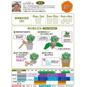 アガベ 花ごころ アガベの土 2L 専用 用土...の詳細画像1