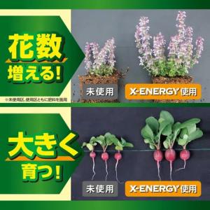 KINCHO園芸 X-ENERGYロング 粒タ...の詳細画像4