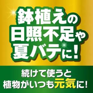 KINCHO園芸 X-ENERGYロング 粒タ...の詳細画像2