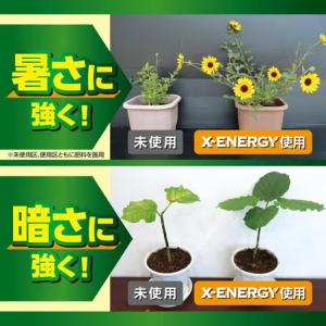KINCHO園芸 X-ENERGYロング 粒タ...の詳細画像3