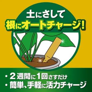 KINCHO園芸 X-ENERGYロング 粒タ...の詳細画像1