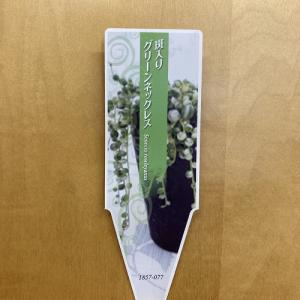 斑入りグリーンネックレス(マーブルネックレス)...の詳細画像4