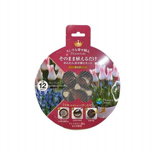 球根 7号鉢にぴったり そのまま植えるだけ　PREMIUM 2種ミックス ピンク チューリップ×ムス...