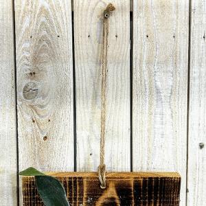 観葉植物 コウモリラン ネザーランド 壁掛け※...の詳細画像5