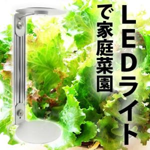 植物育成LEDスタンド Guppy(グッピー) LFT-01-B 家庭菜園