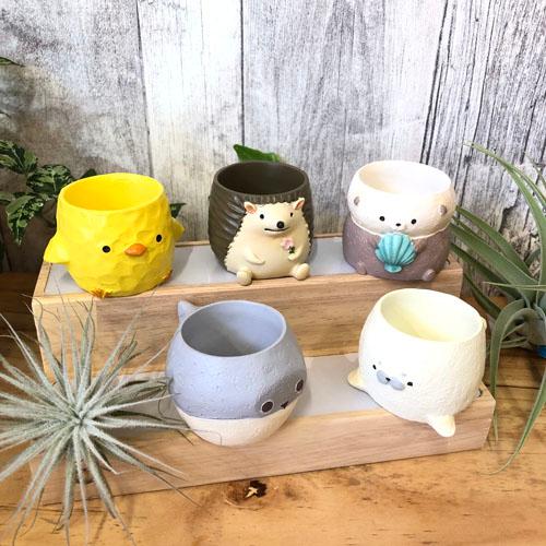 ポット　リトルレジンポットB　可愛い 動物 アニマル 多肉植物