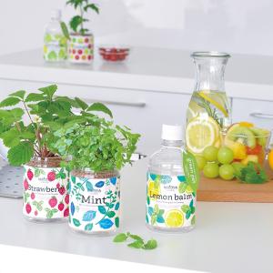 栽培キット 野菜 インテリア おしゃれ プレゼント 育てるグリーンペット