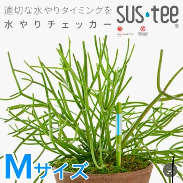 水やりチェッカー サスティー Mサイズ【土日出荷対応(祝祭日除く)】【サスティー商品アソート同梱OK...