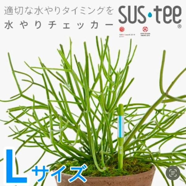 水やりチェッカー サスティー Lサイズ【土日出荷対応(祝祭日除く)】【サスティー商品アソート同梱OK...