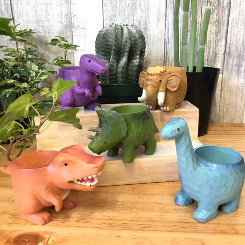 ポット　リトルレジンポットC　可愛い 恐竜 アニマル 多肉植物