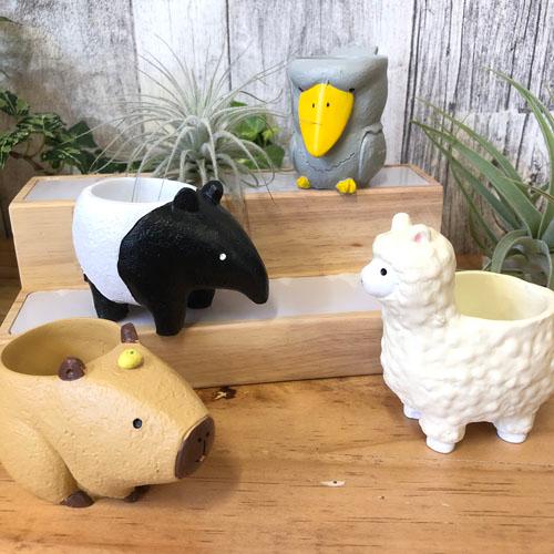 ポット　リトルレジンポットD　可愛い 動物 アニマル 多肉植物