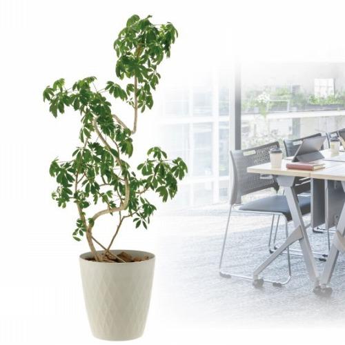 リッチェル ラピスポットカバー 10 鉢カバー 観葉植物 ECO サロン オシャレ