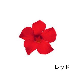 サントリーフラワーズ クライミングサンパラソル...の詳細画像4