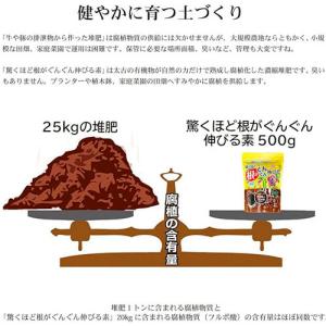 土壌改良 驚くほど根がぐんぐん伸びる素 500...の詳細画像1