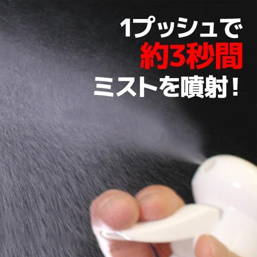 ミスト　マイクロンスプレー ルームケア ブラック 250ml マルハチ産業　葉水 節約 化粧水 散布